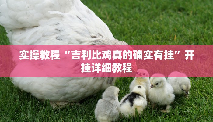 实操教程“吉利比鸡真的确实有挂”开挂详细教程