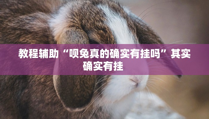 教程辅助“呗兔真的确实有挂吗”其实确实有挂 