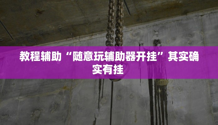 实操教程“蜀州麻将石城确实真的有挂”详细教程辅助工具