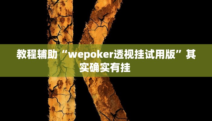 教程辅助“wepoker透视挂试用版”其实确实有挂 