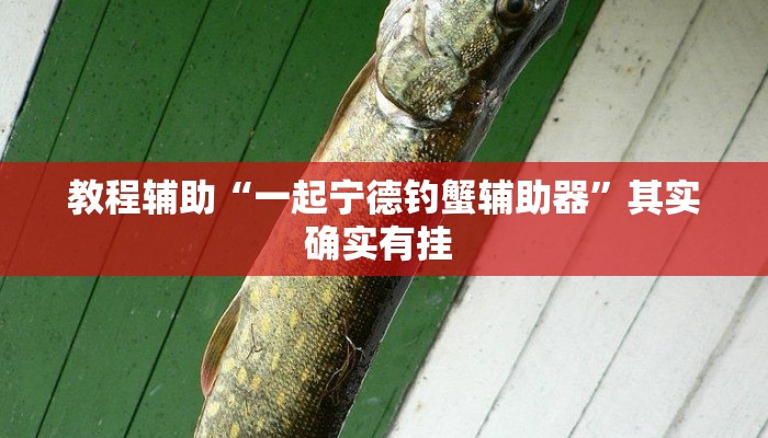 教程辅助“微乐挖坑开挂神器下载安装”其实确实有挂 