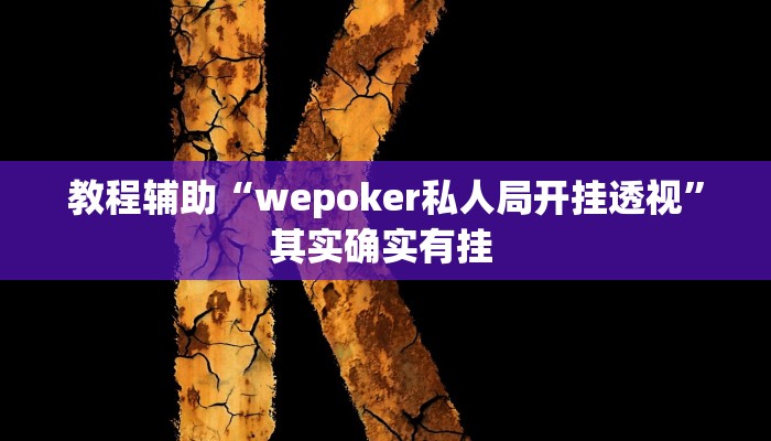 辅助神器“白金岛十胡卡能装透视挂吗”其实确实有挂 