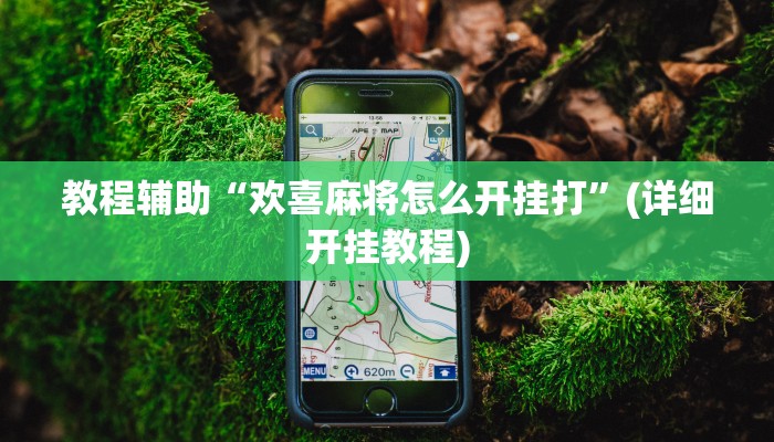 教程辅助“欢喜麻将怎么开挂打”(详细开挂教程)