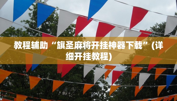 实操教程“起点休闲到底有没有挂”详细教程辅助工具