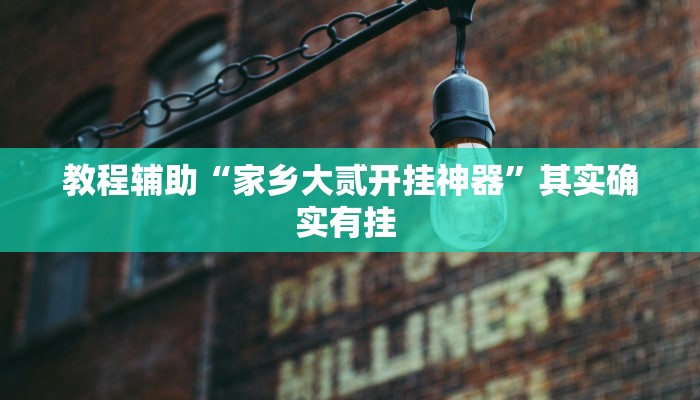 玩家辅助神器:“喜扣跑胡子辅助器”其实确实有挂