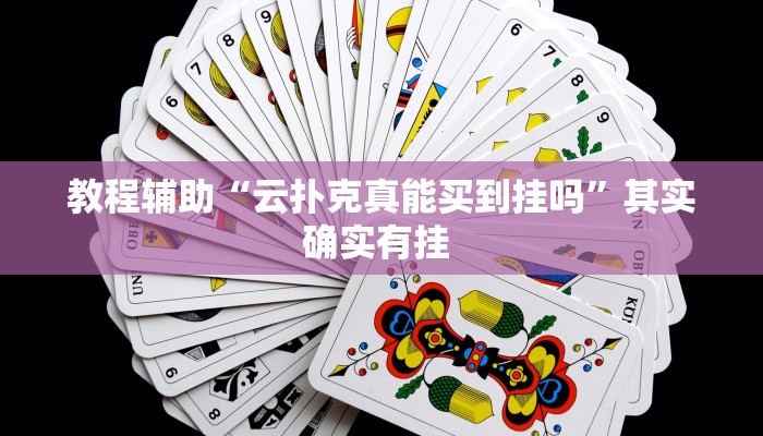 玩家辅助神器:“顺欣茶楼有没有辅助”开挂详细教程