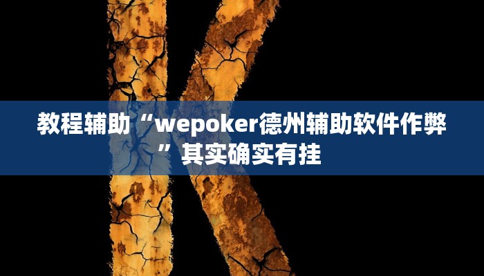 玩家辅助神器:“wepoker透视底牌软件”其实确实有挂