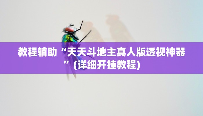 教程辅助“中至吉安王炸辅助器”开挂详细教程 教程辅助“中至吉安王炸辅助器”开挂详细教程