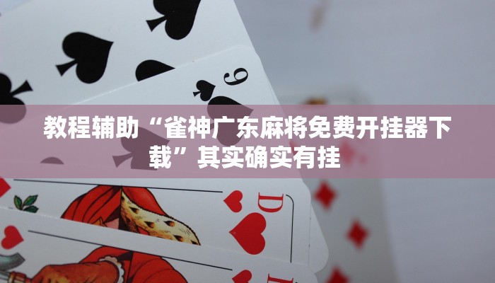 实操教程“WePoker辅助工具透视功能”开挂详细教程
