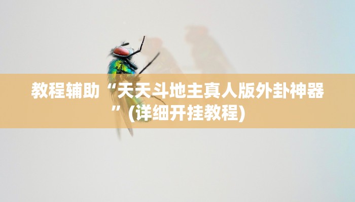 玩家辅助神器:“德扑之星作弊透视安卓版”详细教程辅助工具 玩家辅助神器:“德扑之星作弊透视安卓版”详细教程辅助工具