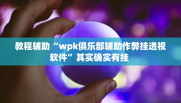 教程辅助“wpk俱乐部辅助作弊挂透视软件”其实确实有挂 