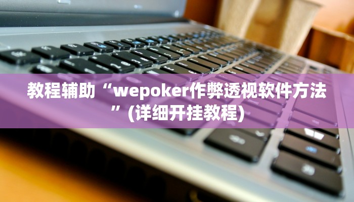 教程辅助“wepoker作弊透视软件方法”(详细开挂教程)
