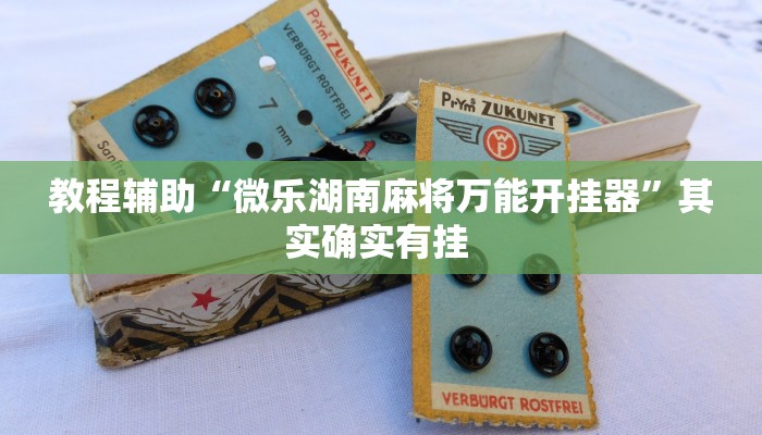 实操教程“微乐捉老麻子开挂神器”开挂详细教程