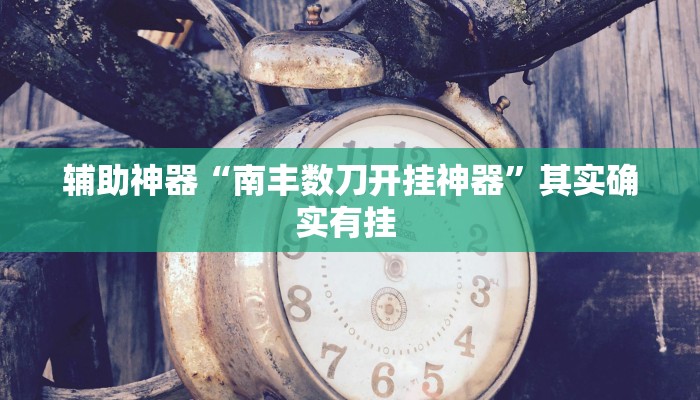 辅助神器“南丰数刀开挂神器”其实确实有挂 