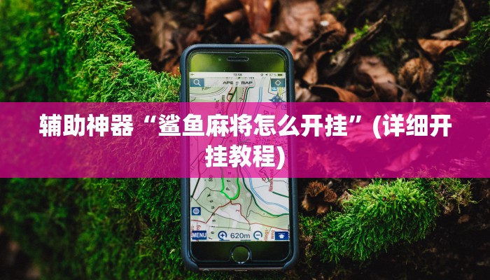 实操教程“福建十三水开挂辅助器”开挂详细教程