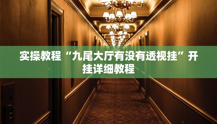 实操教程“九尾大厅有没有透视挂”开挂详细教程