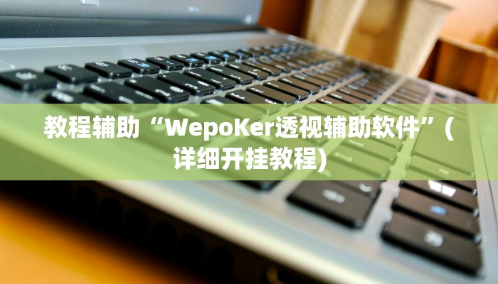 教程辅助“WepoKer透视辅助软件”(详细开挂教程)