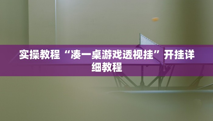 实操教程“凑一桌游戏透视挂”开挂详细教程