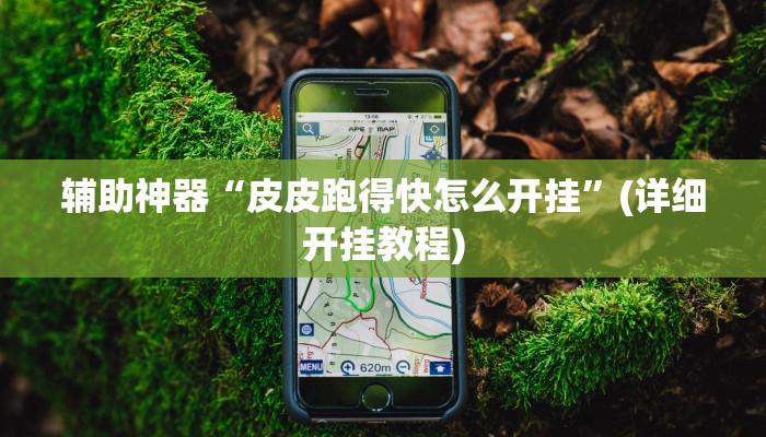 辅助神器“皮皮跑得快怎么开挂”(详细开挂教程)