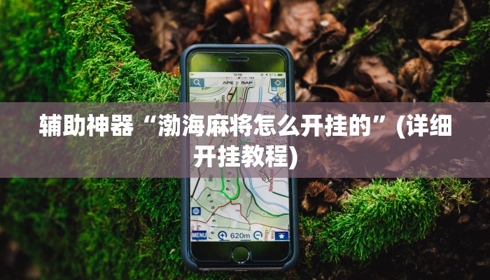 实操教程“微乐陕西挖坑开挂器”开挂详细教程