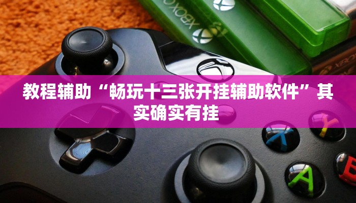 玩家辅助神器:“财神十三张开挂透视软件”其实确实有挂