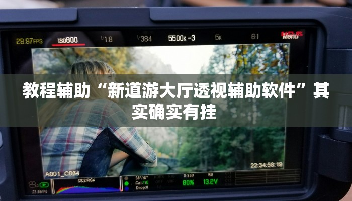 教程辅助“新道游大厅透视辅助软件”其实确实有挂 