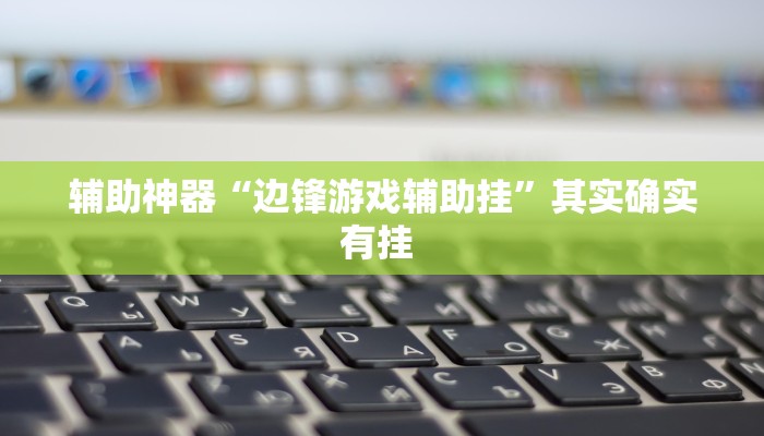 辅助神器“边锋游戏辅助挂”其实确实有挂 辅助神器“边锋游戏辅助挂”其实确实有挂
