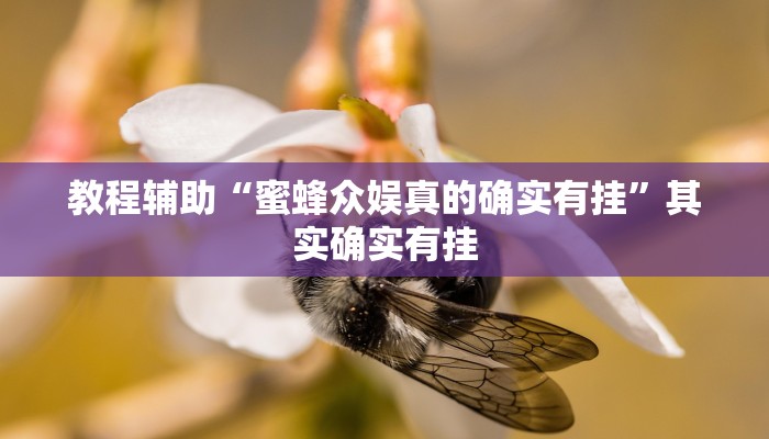 辅助神器“新上游大厅辅助器下载”其实确实有挂