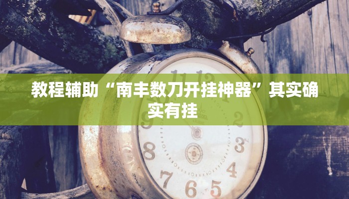 教程辅助“广西跑胡子透视挂”(详细开挂教程)