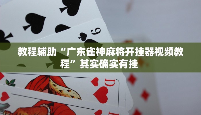 教程辅助“广东雀神麻将开挂器视频教程”其实确实有挂 