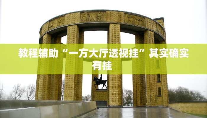 教程辅助“皇豪互娱确实真的有挂”开挂详细教程