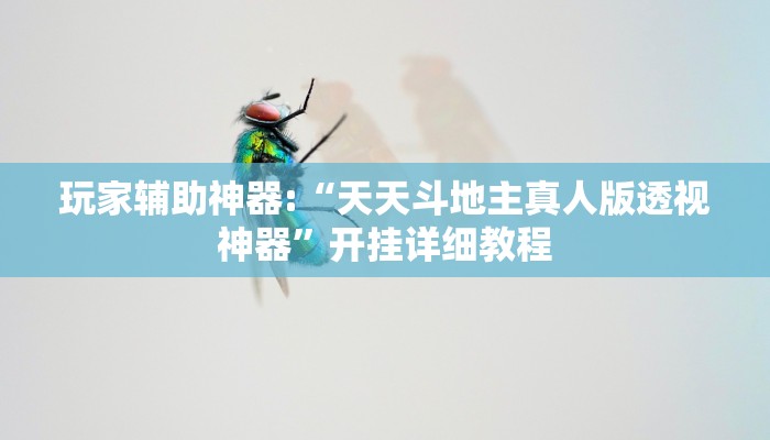 玩家辅助神器:“天天斗地主真人版透视神器”开挂详细教程 玩家辅助神器:“天天斗地主真人版透视神器”开挂详细教程