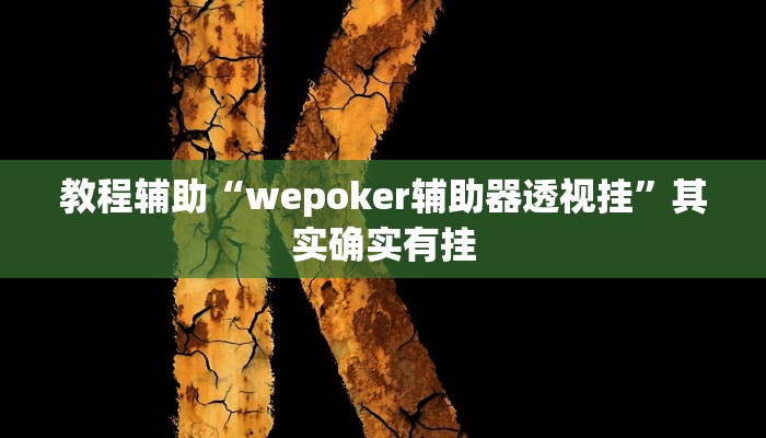 教程辅助“wepoker辅助器透视挂”其实确实有挂