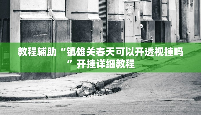 教程辅助“镇雄关春天可以开透视挂吗”开挂详细教程 教程辅助“镇雄关春天可以开透视挂吗”开挂详细教程