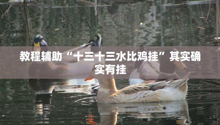 教程辅助“中至王炸比奖开挂神器”其实确实有挂