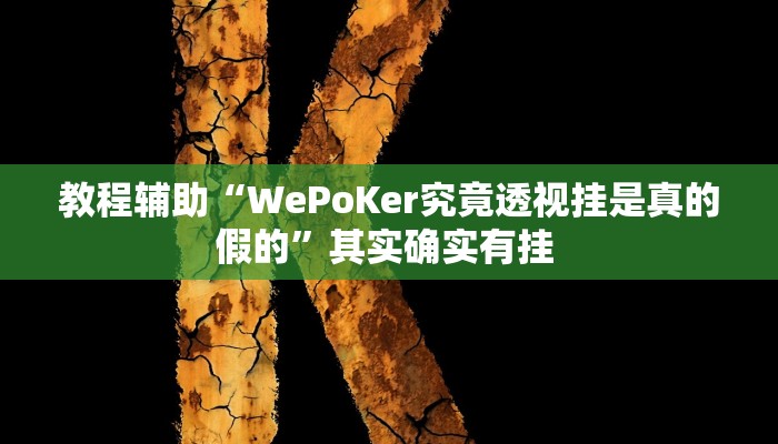 教程辅助“微乐卡五星万能开挂器”其实确实有挂 