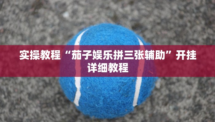 教程辅助“新海贝之城拼三张是不是有挂”开挂详细教程