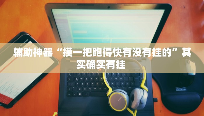 辅助神器“摸一把跑得快有没有挂的”其实确实有挂 