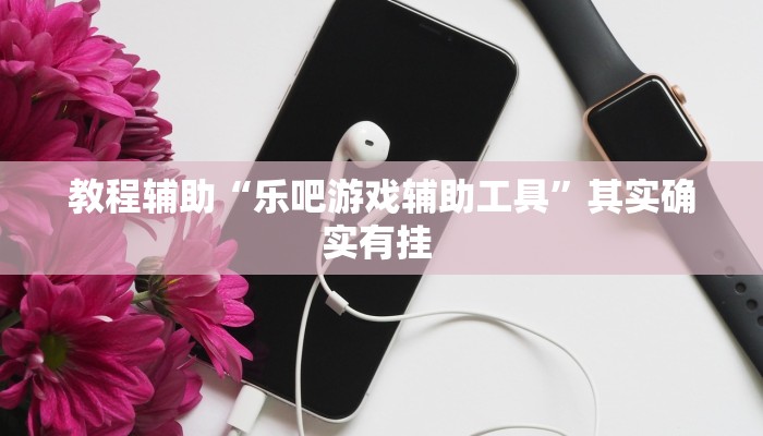 教程辅助“乐吧游戏辅助工具”其实确实有挂 