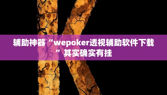 辅助神器“wepoker透视辅助软件下载”其实确实有挂
