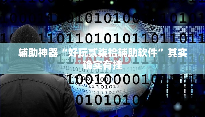 辅助神器“好玩贰柒拾辅助软件”其实确实有挂