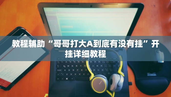 教程辅助“哥哥打大A到底有没有挂”开挂详细教程