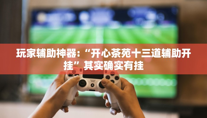 玩家辅助神器:“开心茶苑十三道辅助开挂”其实确实有挂