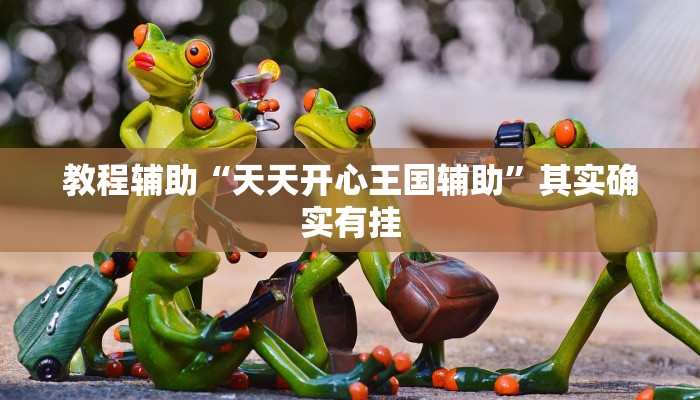 教程辅助“天天开心王国辅助”其实确实有挂