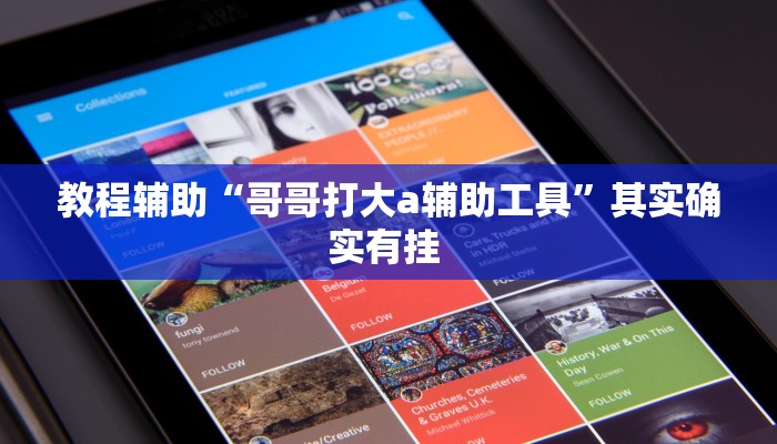 教程辅助“哥哥打大a辅助工具”其实确实有挂 