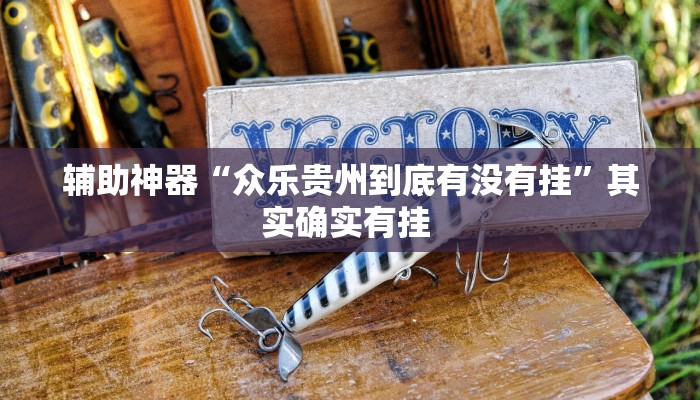 辅助神器“众乐贵州到底有没有挂”其实确实有挂 