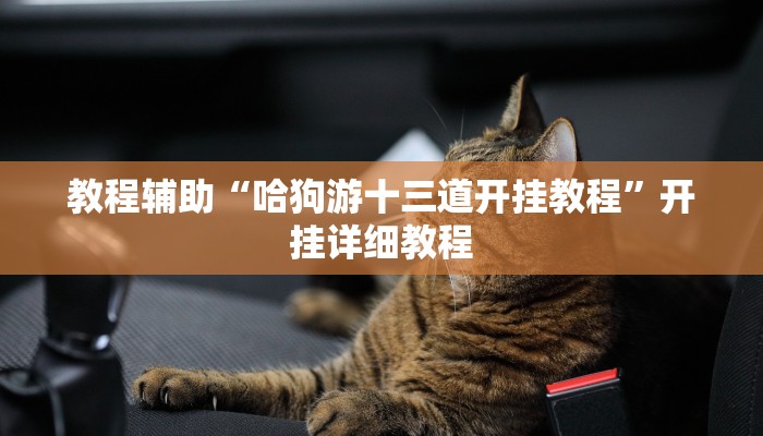 教程辅助“哈狗游十三道开挂教程”开挂详细教程