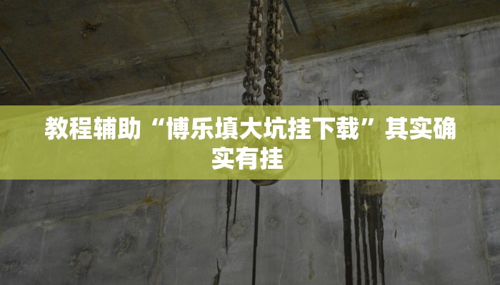 教程辅助“博乐填大坑挂下载”其实确实有挂 