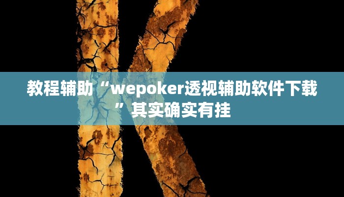 教程辅助“wepoker透视辅助软件下载”其实确实有挂
