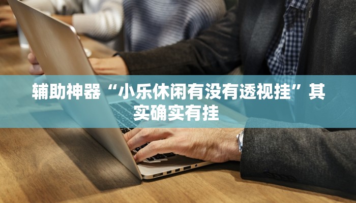 辅助神器“广西跑胡子透视挂”其实确实有挂 